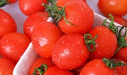 吃瓜网红圣女果视频,吃瓜群众的美食新宠