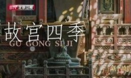 故宫最新爆料视频下载安装,最新爆料视频带你领略皇家宫殿的神秘魅力